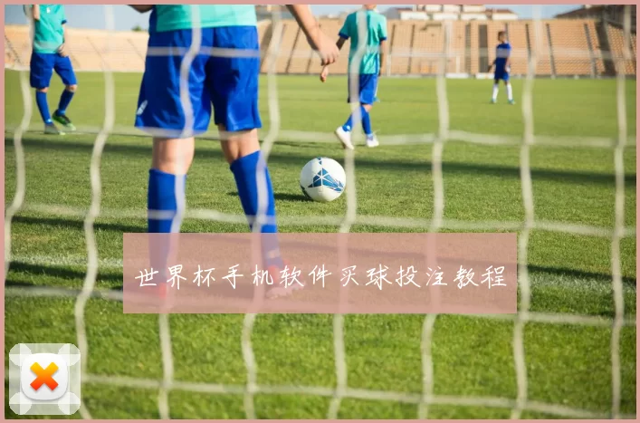 世界杯手机软件买球投注教程