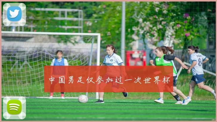 中国男足仅参加过一次世界杯