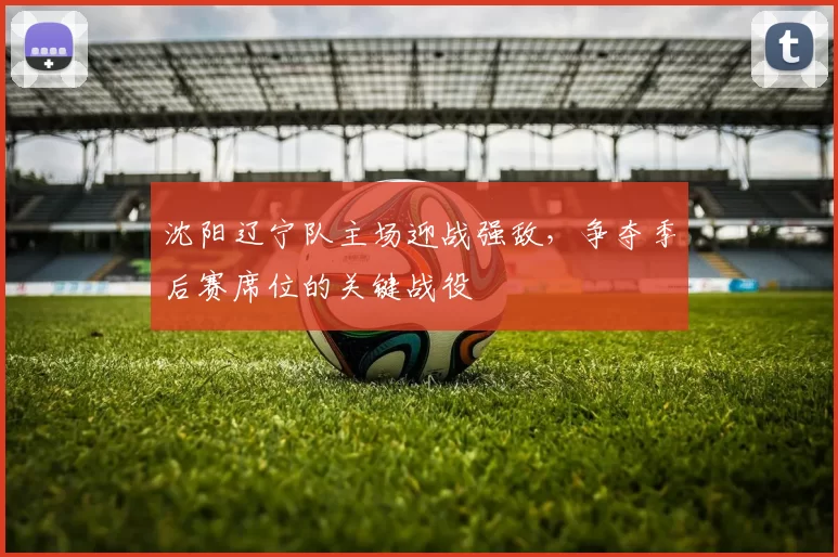 沈阳辽宁队主场迎战强敌,争夺季后赛席位的关键战役