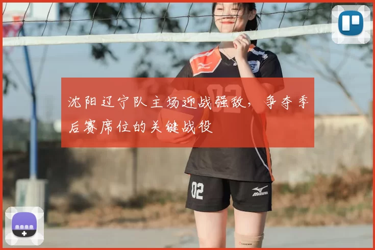 沈阳辽宁队主场迎战强敌,争夺季后赛席位的关键战役