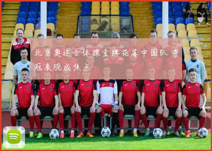 北京奥运会体操金牌花落中国队 夺冠表现成焦点