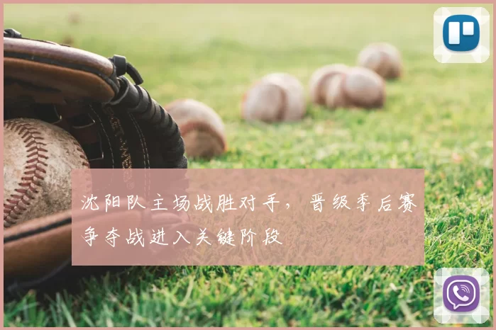 沈阳队主场战胜对手,晋级季后赛争夺战进入关键阶段