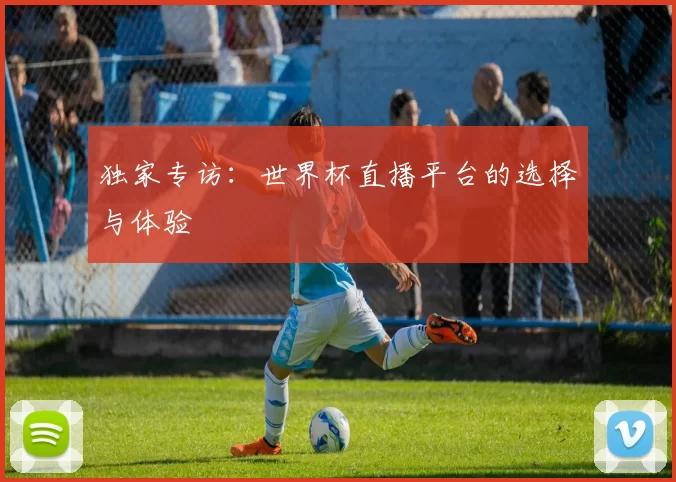 独家专访：世界杯直播平台的选择与体验