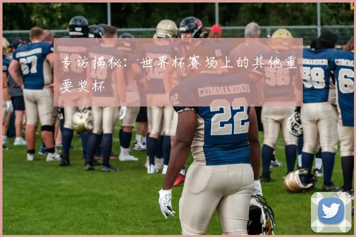 专访揭秘:世界杯赛场上的其他重要奖杯
