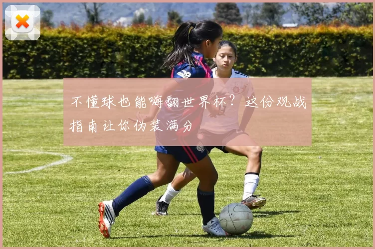 不懂球也能嗨翻世界杯?这份观战指南让你伪装满分