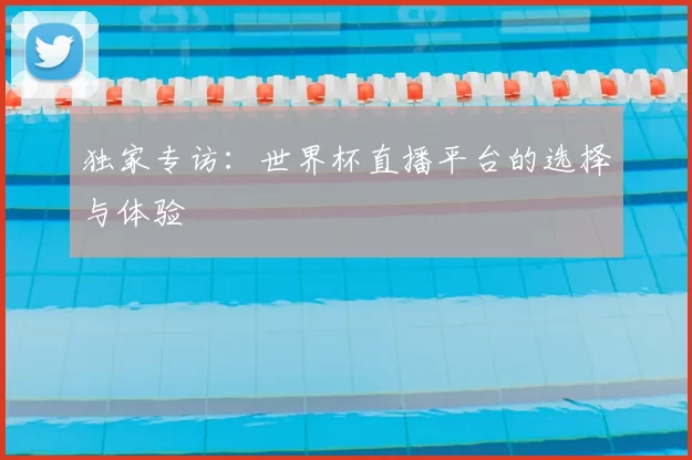 独家专访：世界杯直播平台的选择与体验