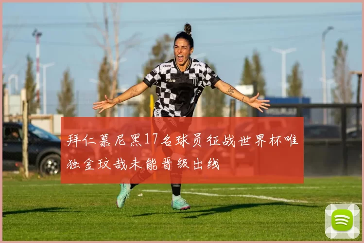 拜仁慕尼黑17名球员征战世界杯唯独金玟哉未能晋级出线