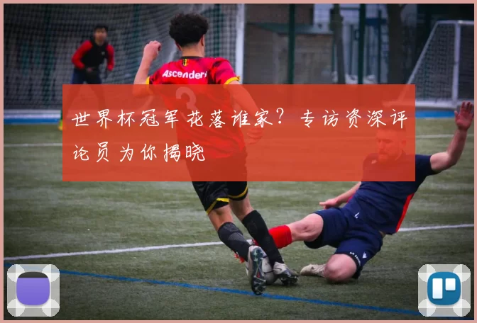 世界杯冠军花落谁家？专访资深评论员为你揭晓