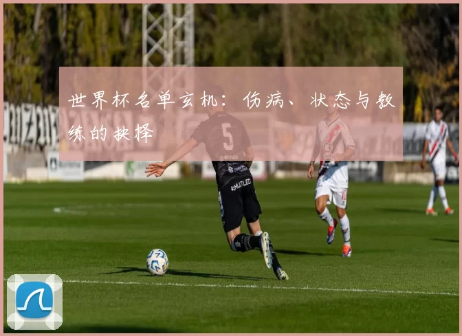 世界杯名单玄机：伤病、状态与教练的抉择