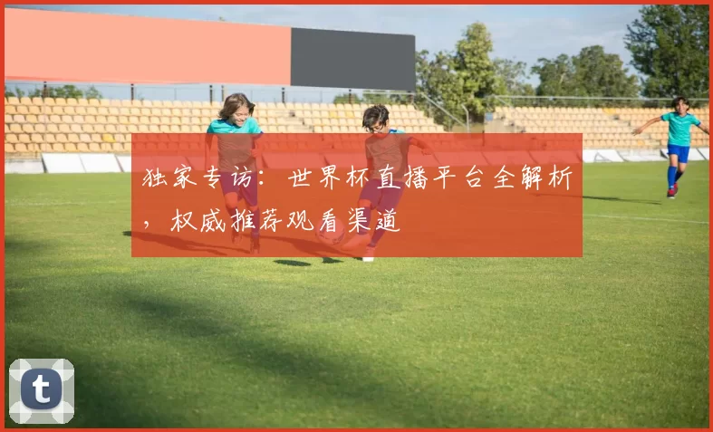 独家专访:世界杯直播平台全解析,权威推荐观看渠道
