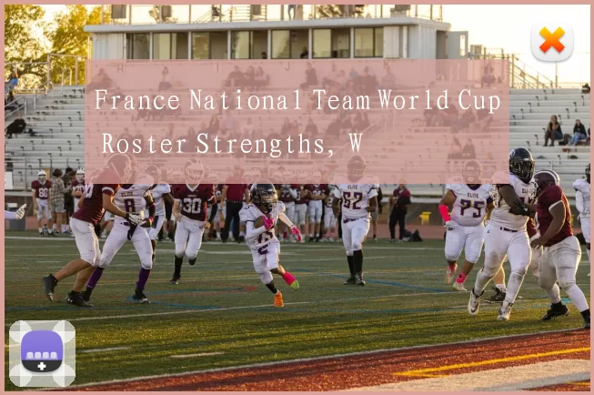 France National Team World Cup Roster Strengths, W