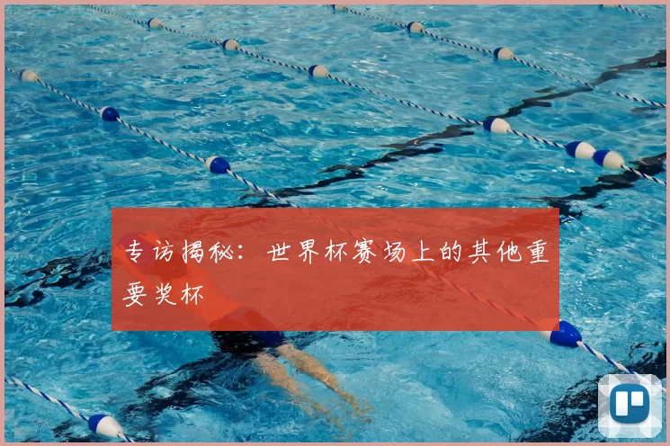 专访揭秘:世界杯赛场上的其他重要奖杯