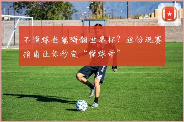 不懂球也能嗨翻世界杯?这份观赛指南让你秒变“懂球帝”