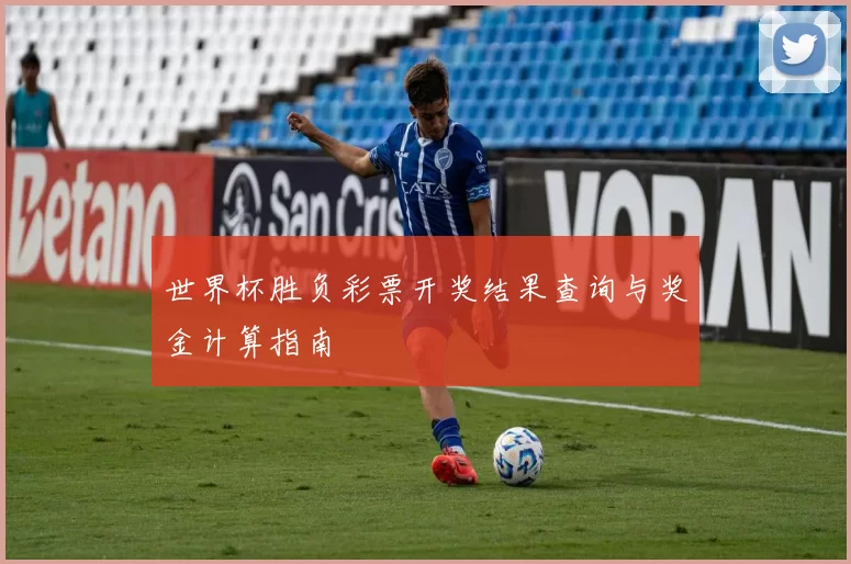 世界杯胜负彩票开奖结果查询与奖金计算指南