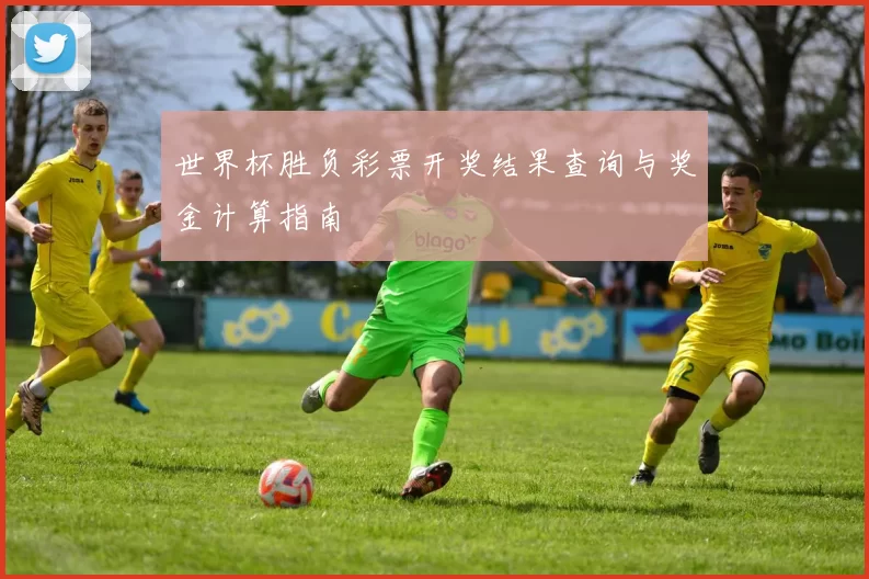 世界杯胜负彩票开奖结果查询与奖金计算指南