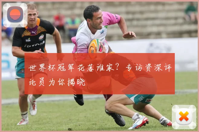 世界杯冠军花落谁家?专访资深评论员为你揭晓