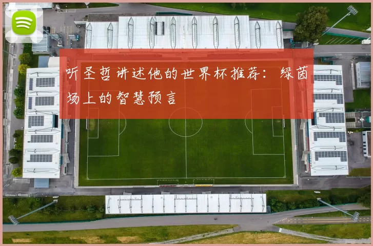 听圣哲讲述他的世界杯推荐：绿茵场上的智慧预言