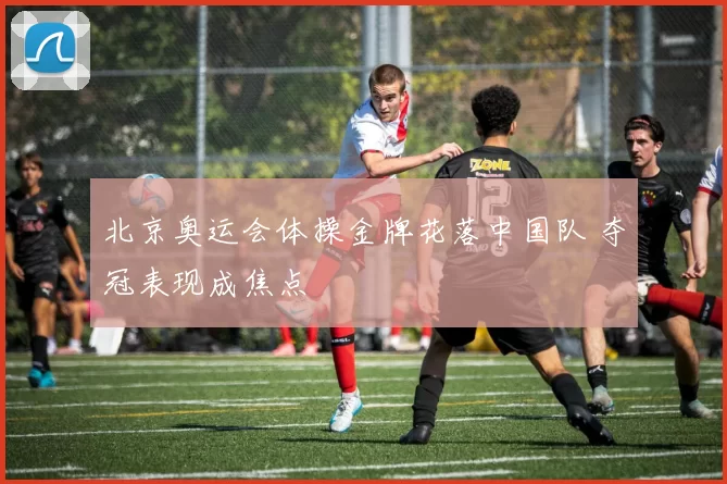 北京奥运会体操金牌花落中国队 夺冠表现成焦点