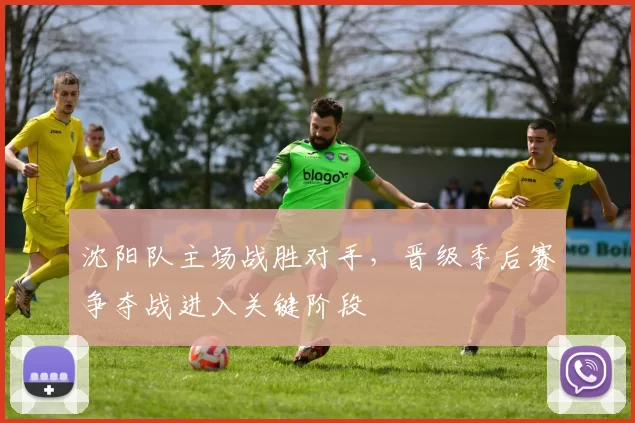 沈阳队主场战胜对手,晋级季后赛争夺战进入关键阶段