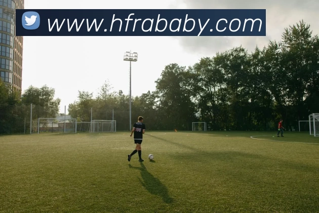 App Interface Preview